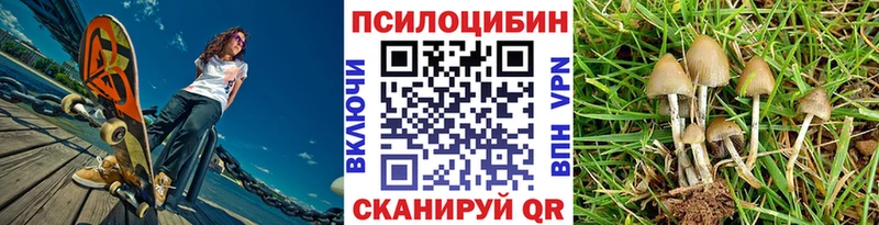 Галлюциногенные грибы Cubensis  Купить  Озёрск 